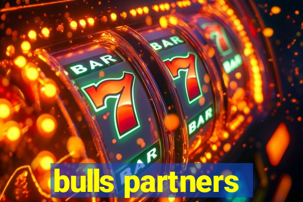 bulls partners